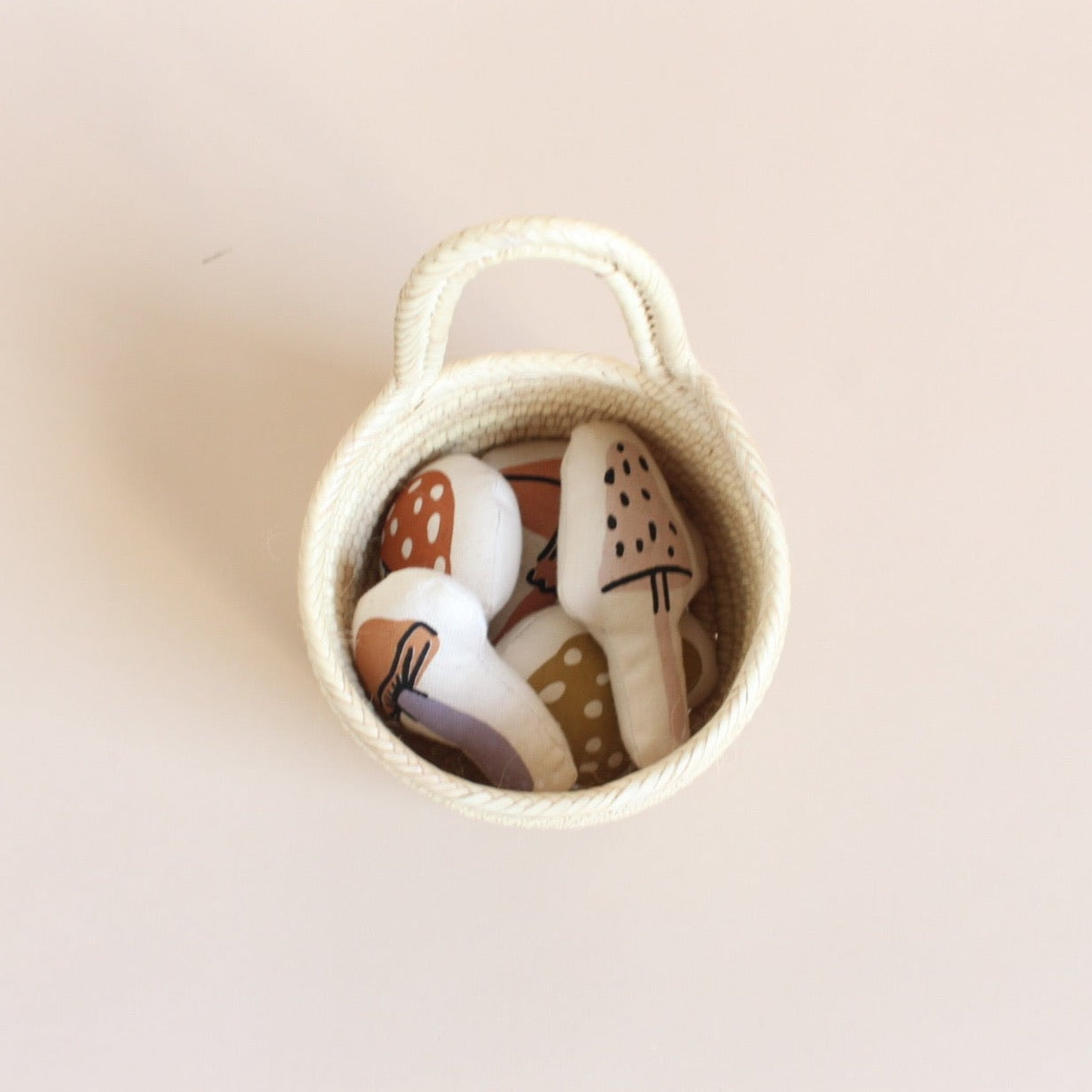 Mini Mushroom Baske